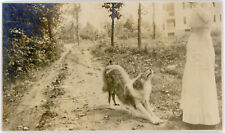 Antique 1917 snapshot for sale  Alameda