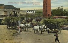 Cartão postal de barbados, plantação de açúcar, carting canas de açúcar para o moinho (década de 1910), usado comprar usado  Enviando para Brazil