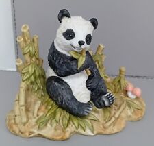 Panda bamboo shoots for sale  WITHAM
