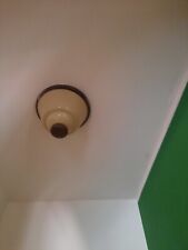 lampadari a soffitto usato  Avigliana