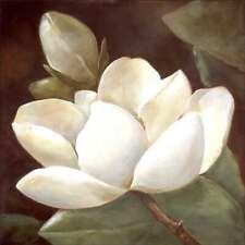 White magnolia accent for sale  Castle Hayne