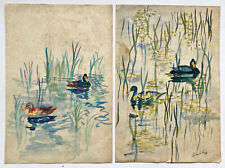 Dessins aquarelle canards d'occasion  Paris III