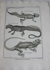 Atlas erpétologie reptiles.co d'occasion  Nantes-