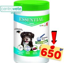 Essential cane junior usato  Arborea