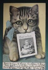 1905 antique cat for sale  Avondale