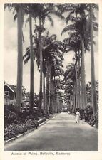 Barbados avenue palms d'occasion  France