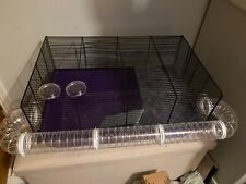 Purple pets home for sale  SWANAGE