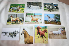 Pferdepostkarte pferde poster gebraucht kaufen  Glan-Münchweiler-Umland
