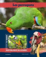 Guinea 2019 parrots for sale  Wilmington