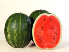 Türkische wassermelone adana gebraucht kaufen  Lehrte