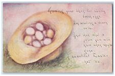 c1905 Huevos frescos de Pascua en sombrero FA Owen Publishing Co. Danville Nueva York postal segunda mano  Embacar hacia Argentina
