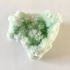 Selenita verde, gesso, aglomerado de cristal, Lagoa Pernattys, Austrália do Sul comprar usado  Enviando para Brazil