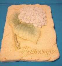 Hydrangea picture beautiful for sale  Mc Gregor