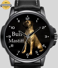 Bullmastiff pet dog for sale  STOCKTON-ON-TEES