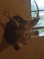 Deer head mount for sale  Macon