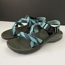 Chaco blue birds for sale  The Colony