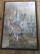 Kangaroo picture for sale  FELTHAM