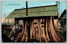 Postcard big cedar for sale  Glendale