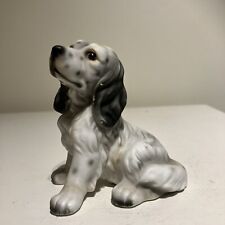 English setter puppy for sale  Shipping to Ireland