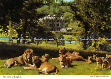 D080697 lions longleat. for sale  WARLINGHAM