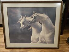 Arabian horses framed for sale  Fallbrook