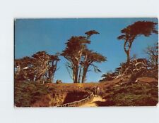 Postcard sylvan footpath for sale  Almond