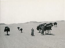 Sahara 1935 ichac d'occasion  Ballon
