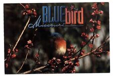 Missouri bluebird state for sale  Sandusky