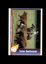 Nolan Ryan 1991 Texas Beefmaster Card #104 Texas Rangers +Free Ship for sale  Shipping to South Africa