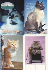 Cats modern postcards. for sale  UMBERLEIGH