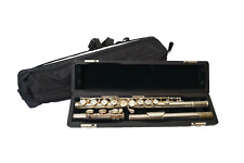 Pearl flute 505 gebraucht kaufen  Hamburg