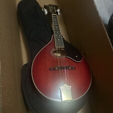 washburn mandolin for sale  Mount Pleasant