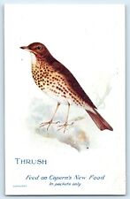 Postcard caperns bird for sale  LLANFAIRFECHAN
