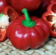 RED TOP PEPPER, EARLY, PAPRIKA, PEPPER, RED, 20 SEEDS for sale  Shipping to South Africa