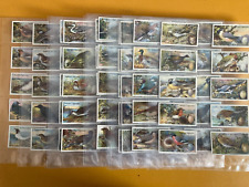 Cigarette cards birds for sale  SOUTH SHIELDS