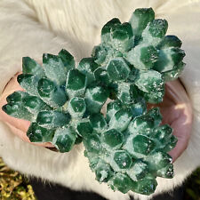 Aglomerado de cristal verde natural 2,22 lb e forma de flor amostra mineral cura comprar usado  Enviando para Brazil
