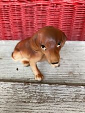 daschund puppies for sale  Terre Haute