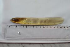 Ambre amber insectes d'occasion  Mulhouse-