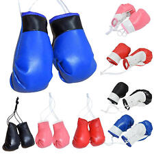 car boxing gloves for sale  LICHFIELD