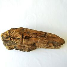 Fossilized wood large for sale  Center Point