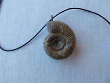 Mounted fossil ammonite. d'occasion  Expédié en Belgium