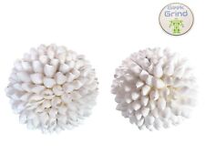 Ocean seashell ball for sale  Worcester