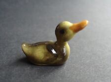 mallard ducklings for sale  BRECON