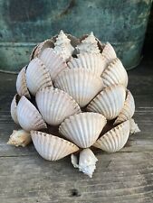 Hanging seashells clay for sale  San Dimas