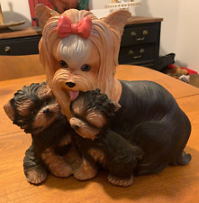 adorable yorkie puppies for sale  Modesto