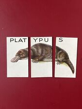 platypus for sale  ST. COLUMB