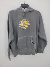 Vintage Telluride Bluegrass Festival Hoody Mens Large Gray Y2K Music Colorado for sale  Shipping to South Africa