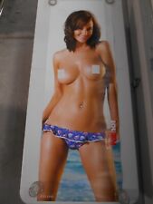 Poster door Red Hot Glamour Girls Rosie Jones 61 x 21 mancave wall garage, used for sale  Shipping to South Africa