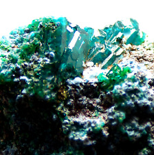 Gemmy green dioptase for sale  BLACKPOOL