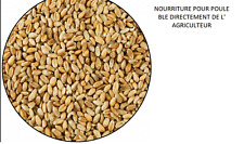 Nourriture poule pondeuse d'occasion  Romainville